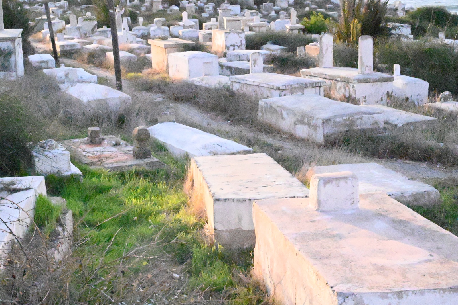 WhatsApp Image 2022-11-24 at 11.41.20 AM.jpeg